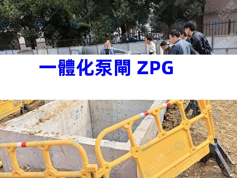 一體化泵閘 ZPG